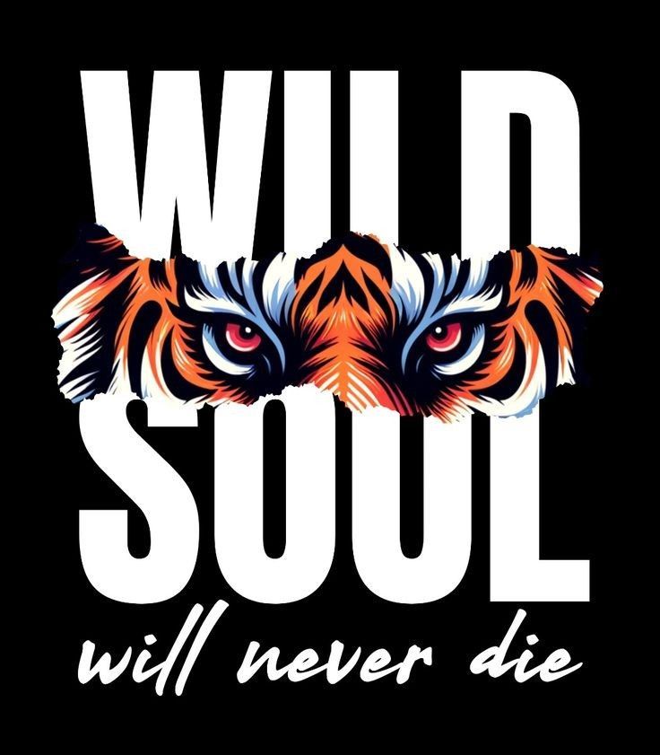 Wild Soul T-Shirt — "Will Never Die" Graphic Tee with Mountain "Explore More" Back
